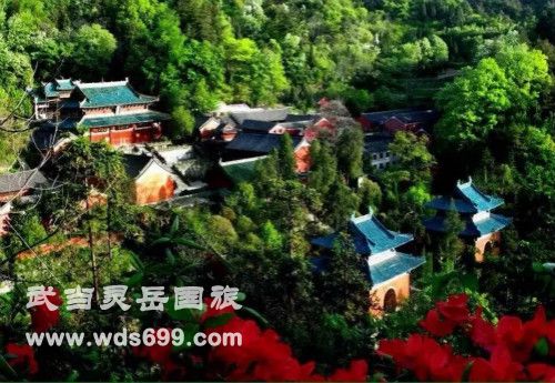 �䵱ɽ̫��������������