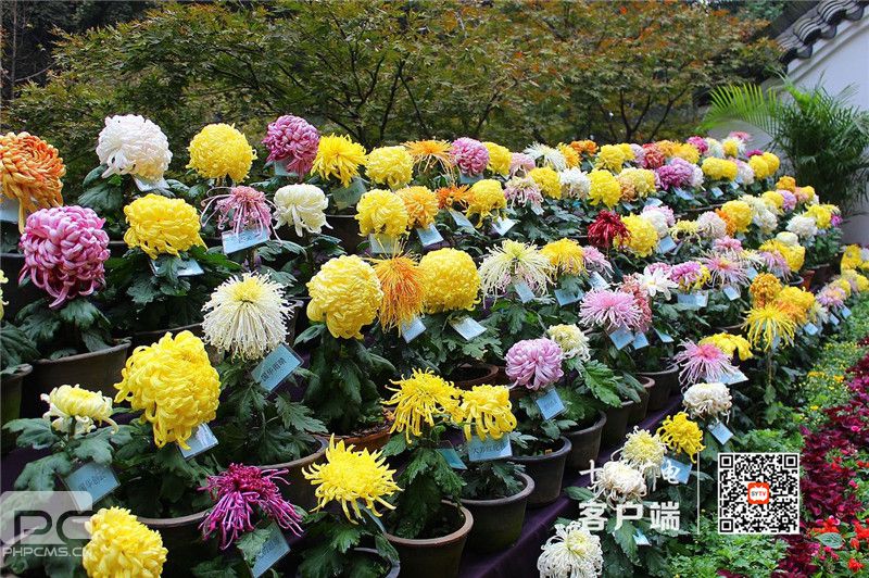 ΢��ͼƬ_202009182108312_����