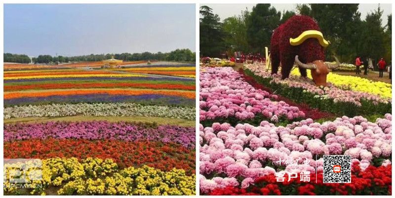 ΢��ͼƬ_202009182108313_����