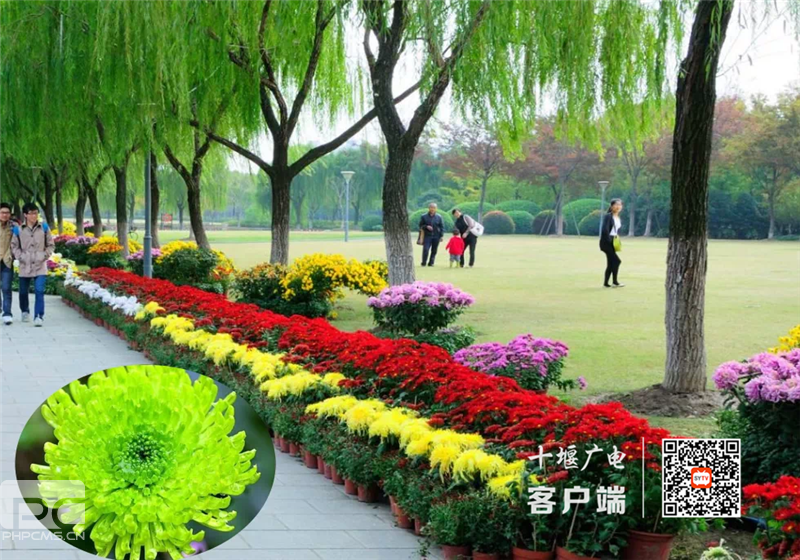 ΢��ͼƬ_202009182108312_����