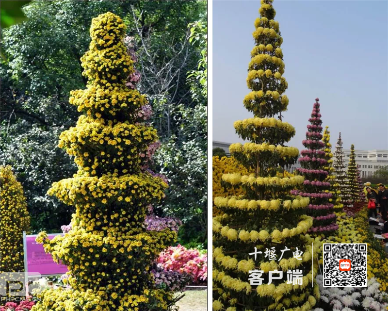 ΢��ͼƬ_202009182108313_����