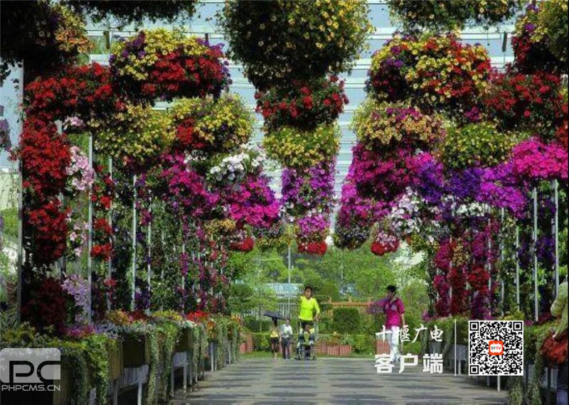 ΢��ͼƬ_20200918213214_����